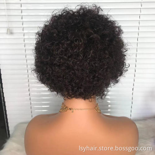 Hot Selling Short Pixie Curly Wig Lace Front Virgin Human Hair Wig For Black Women Pre Plucked With Baby Hair Natural Hair Wigs